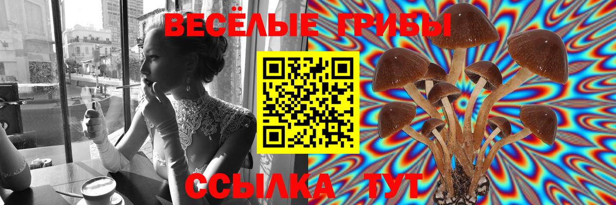 Псилоцибиновые грибы GOLDEN TEACHER  Вход с VPN  Галлюциногенные грибы прущие грибы  купить наркотики сайты  Кубинка 