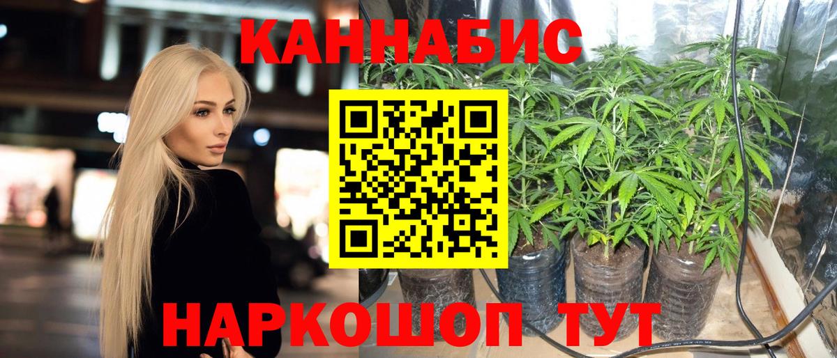 Бошки марихуана SATIVA & INDICA Кубинка